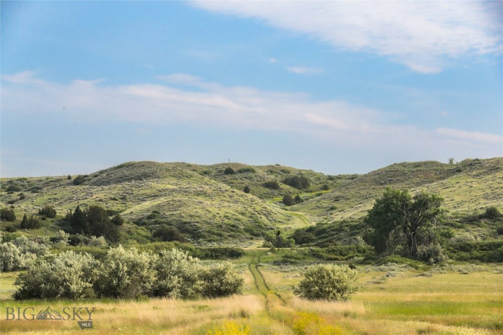 NHN Old Hwy 10, Forsyth MT 59327