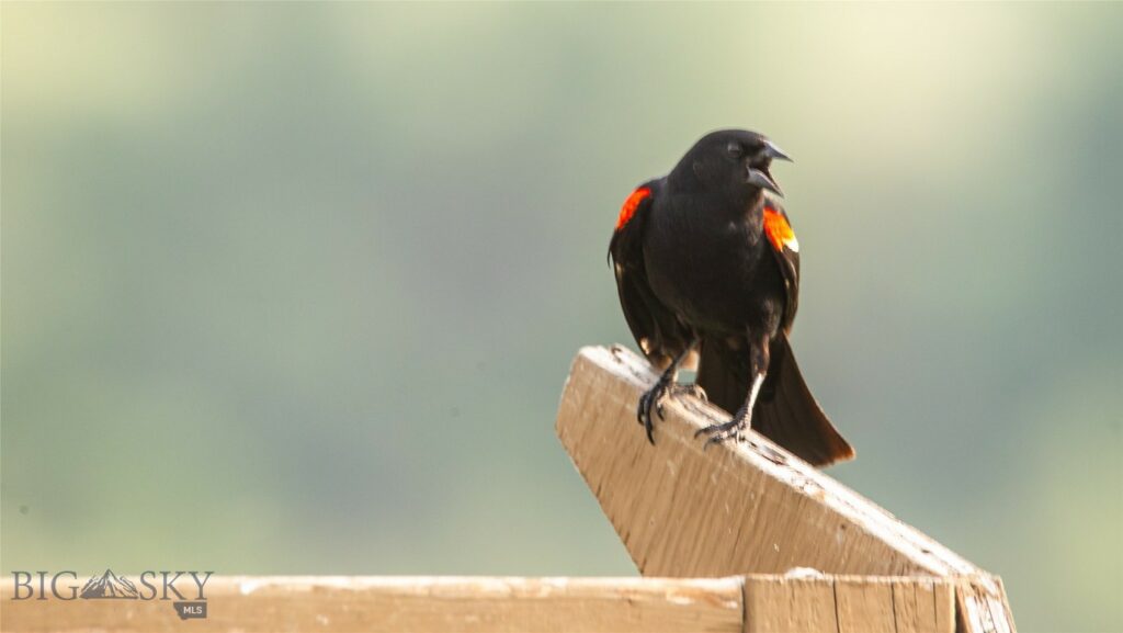 NHN Old Hwy 10, Forsyth MT 59327