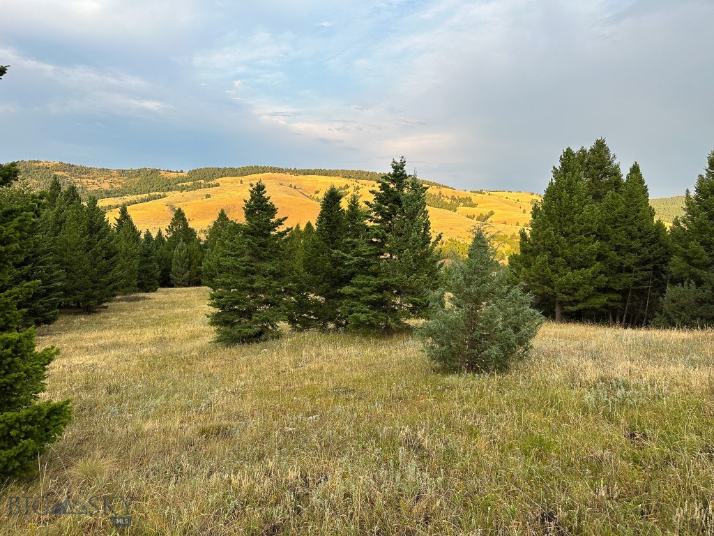 NHN Perry Ranch Road, Drummond MT 59832