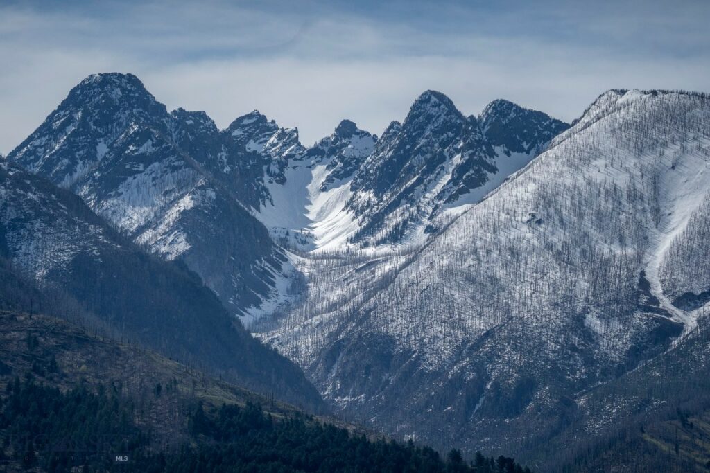 NHN Suce Creek Road, Livingston MT 59047