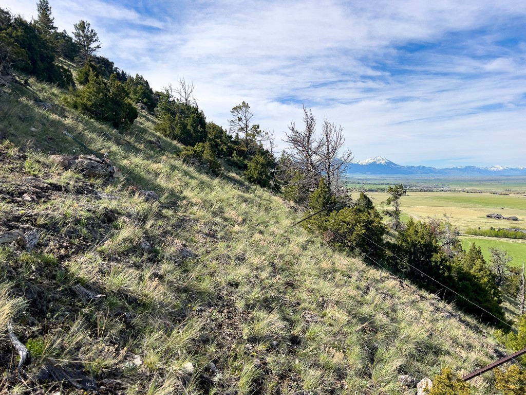 NHN Suce Creek Road, Livingston MT 59047