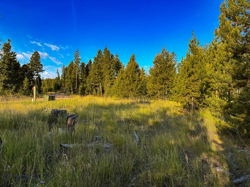 NHN Wapiti Road, Philipsburg MT 59858