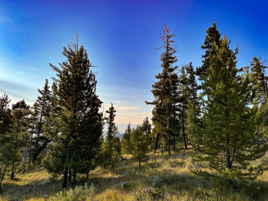 NHN Wapiti Road, Philipsburg MT 59858