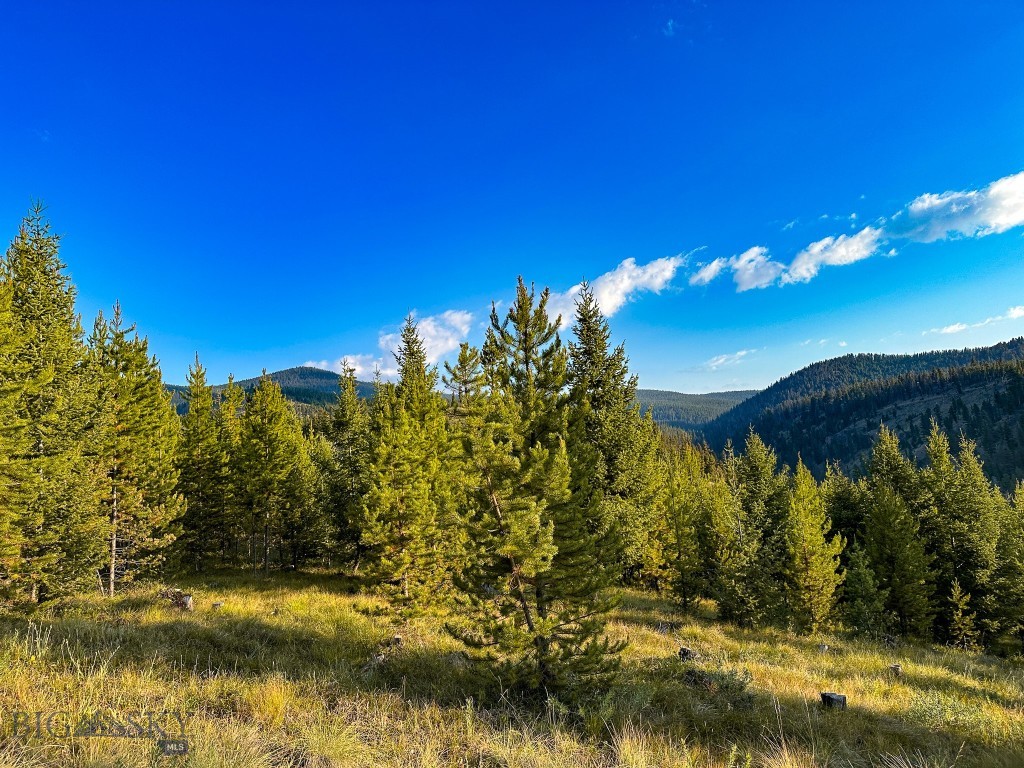 NHN Wapiti Road, Philipsburg MT 59858