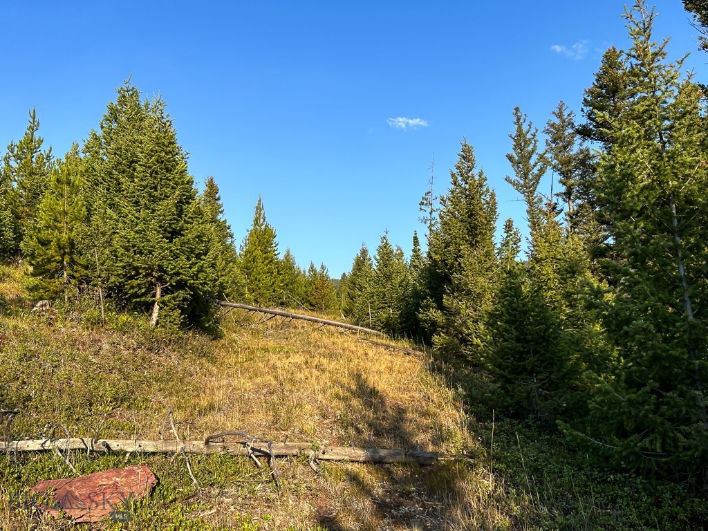 NHN Wapiti Road, Philipsburg MT 59858