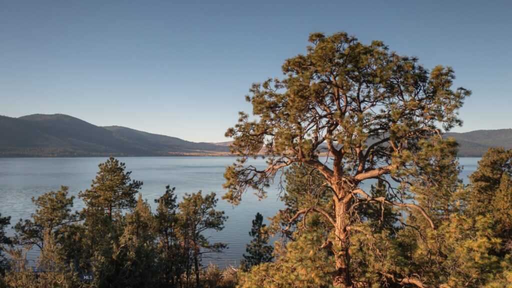 , Dayton MT 59914
