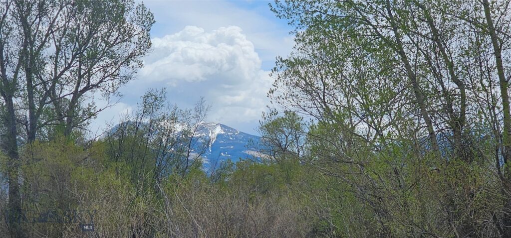 TBD Hwy 287 NE, Ennis MT 59729