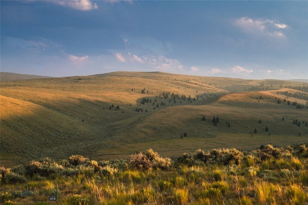 31420 Hwy 324, Dillon MT 59725