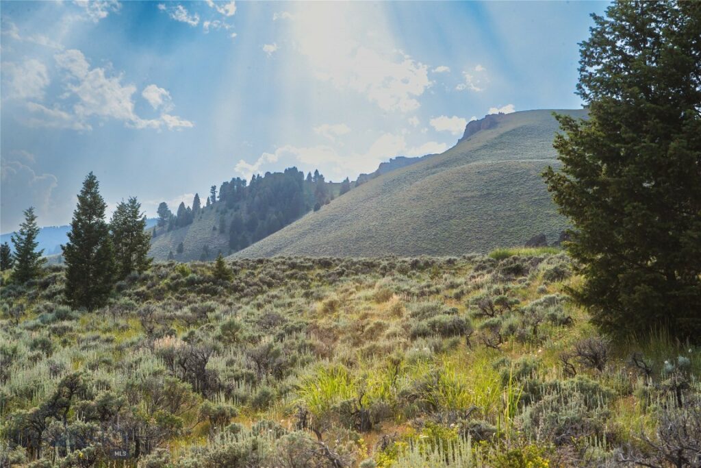 31420 Hwy 324, Dillon MT 59725