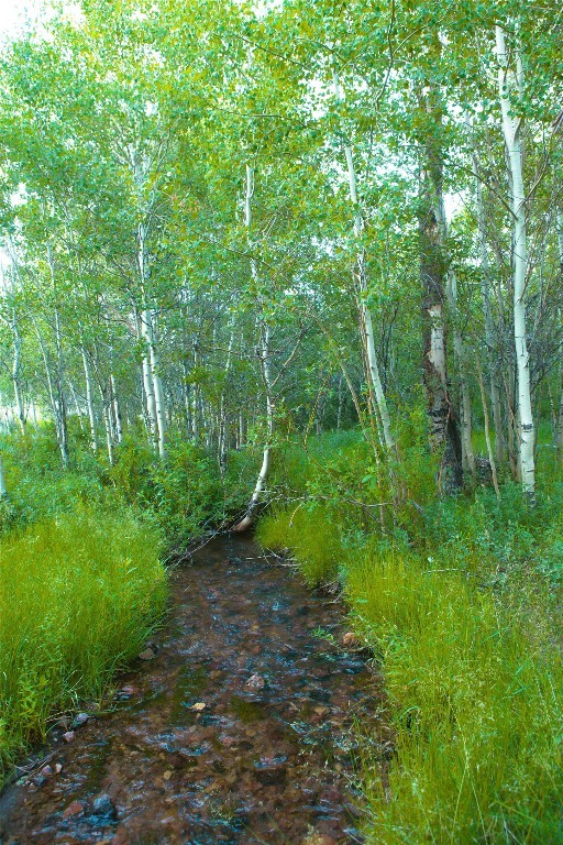 31420 Hwy 324, Dillon MT 59725