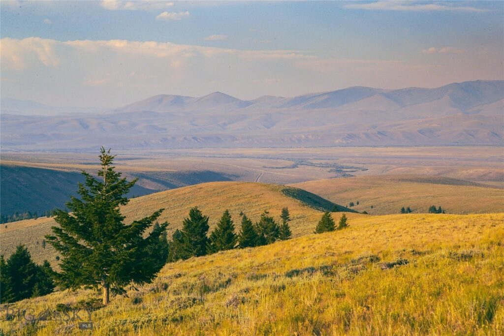 31420 Hwy 324, Dillon MT 59725