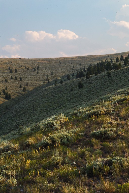 31420 Hwy 324, Dillon MT 59725