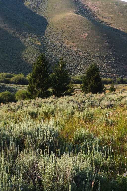 31420 Hwy 324, Dillon MT 59725