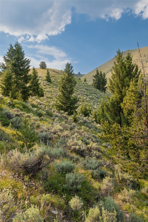 31420 Hwy 324, Dillon MT 59725