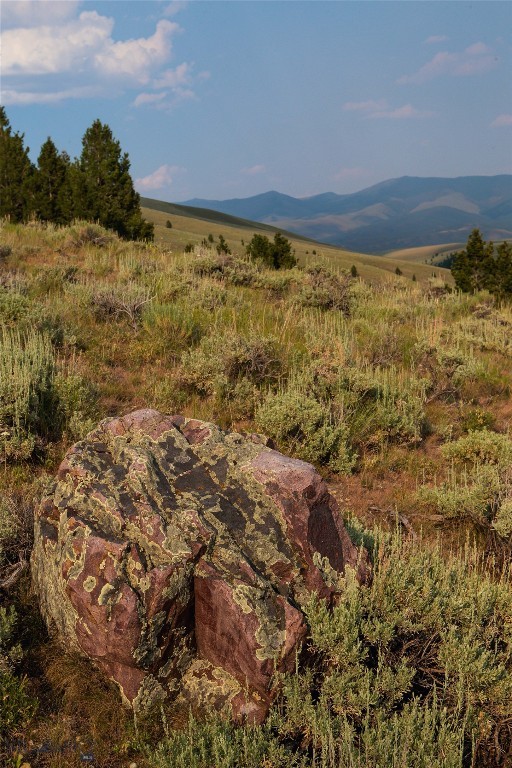 31420 Hwy 324, Dillon MT 59725