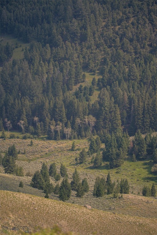 31420 Hwy 324, Dillon MT 59725