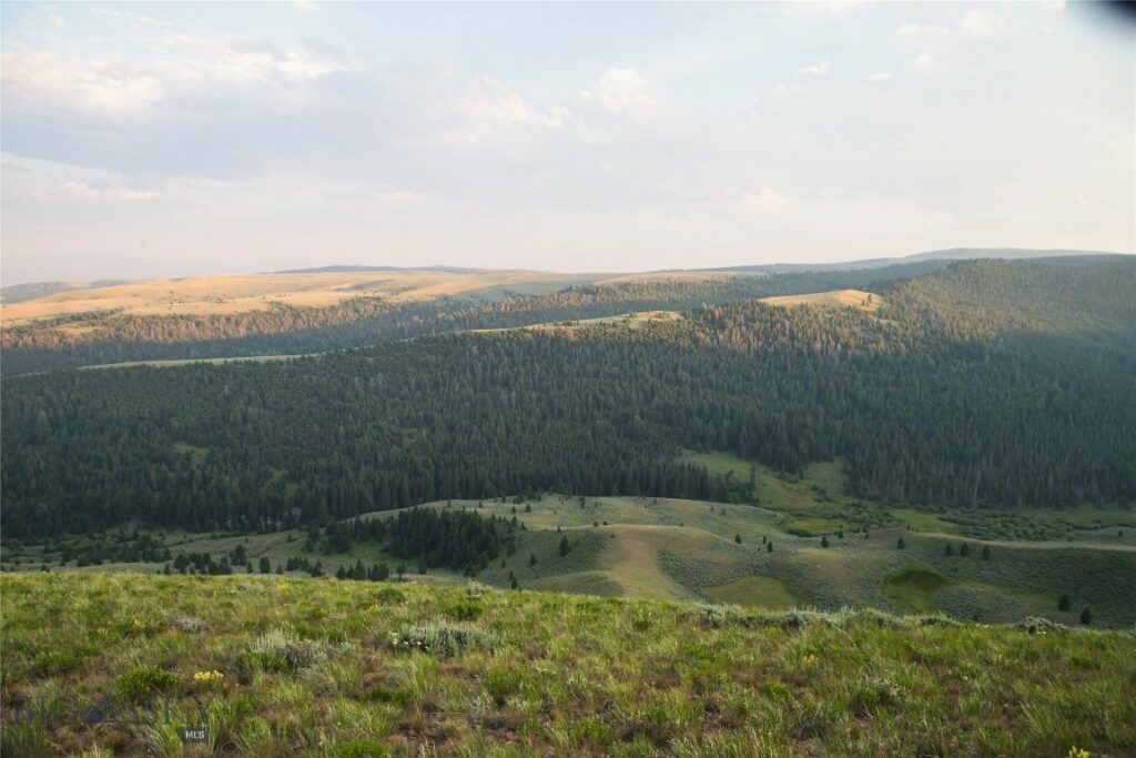 31420 Hwy 324, Dillon MT 59725