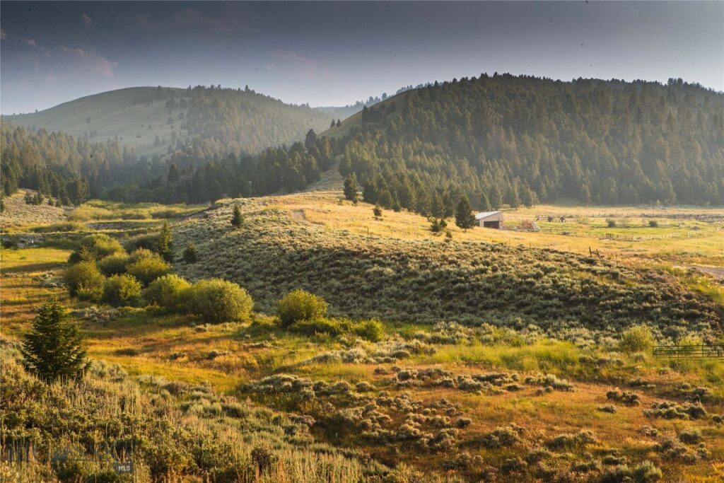 31420 Hwy 324, Dillon MT 59725