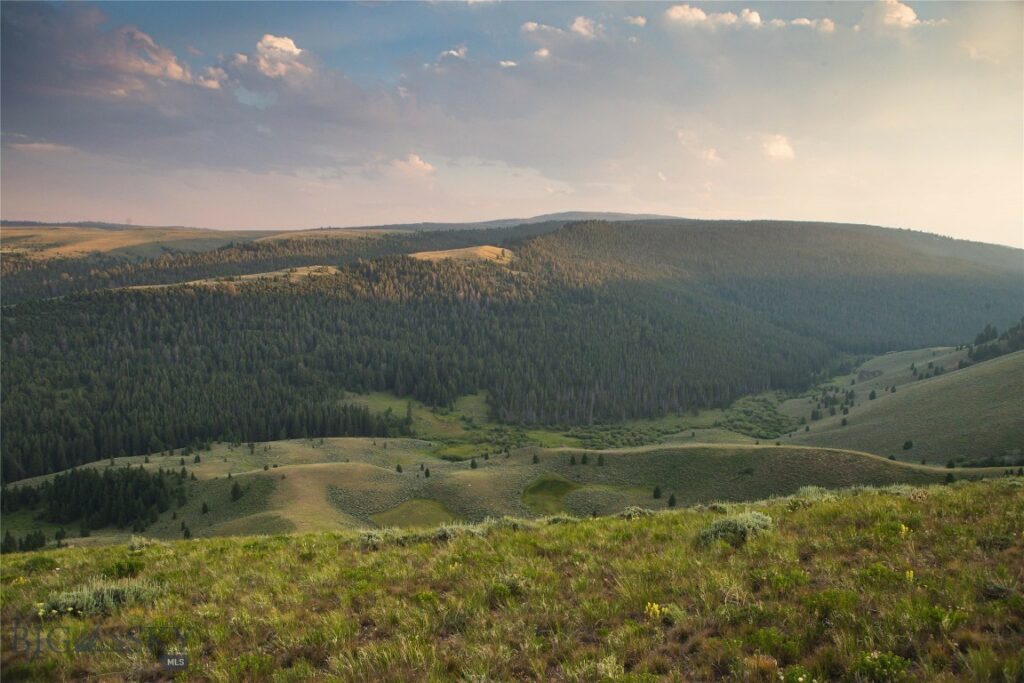 31420 Hwy 324, Dillon MT 59725