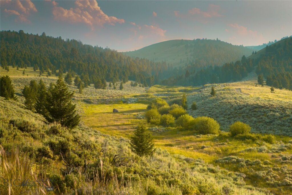 31420 Hwy 324, Dillon MT 59725