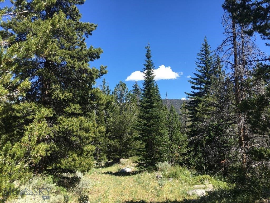 216 Trapper Creek Road, Dillon MT 59725