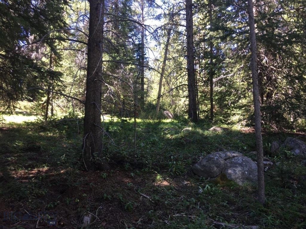 216 Trapper Creek Road, Dillon MT 59725