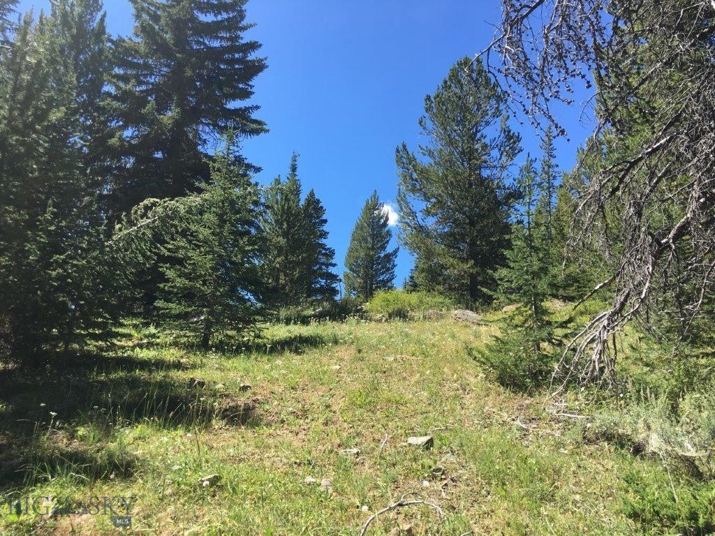 216 Trapper Creek Road, Dillon MT 59725