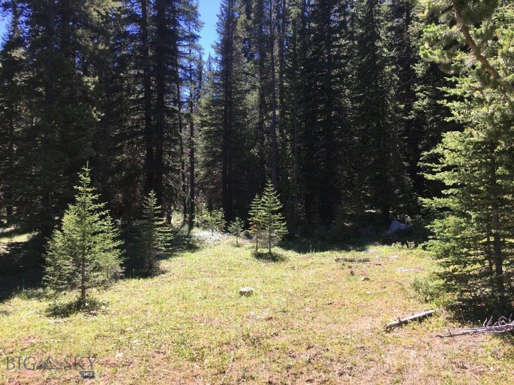 216 Trapper Creek Road, Dillon MT 59725