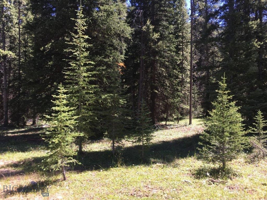 216 Trapper Creek Road, Dillon MT 59725