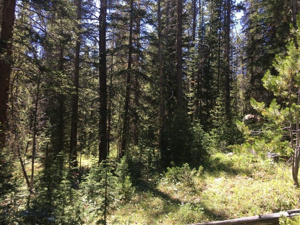 216 Trapper Creek Road, Dillon MT 59725