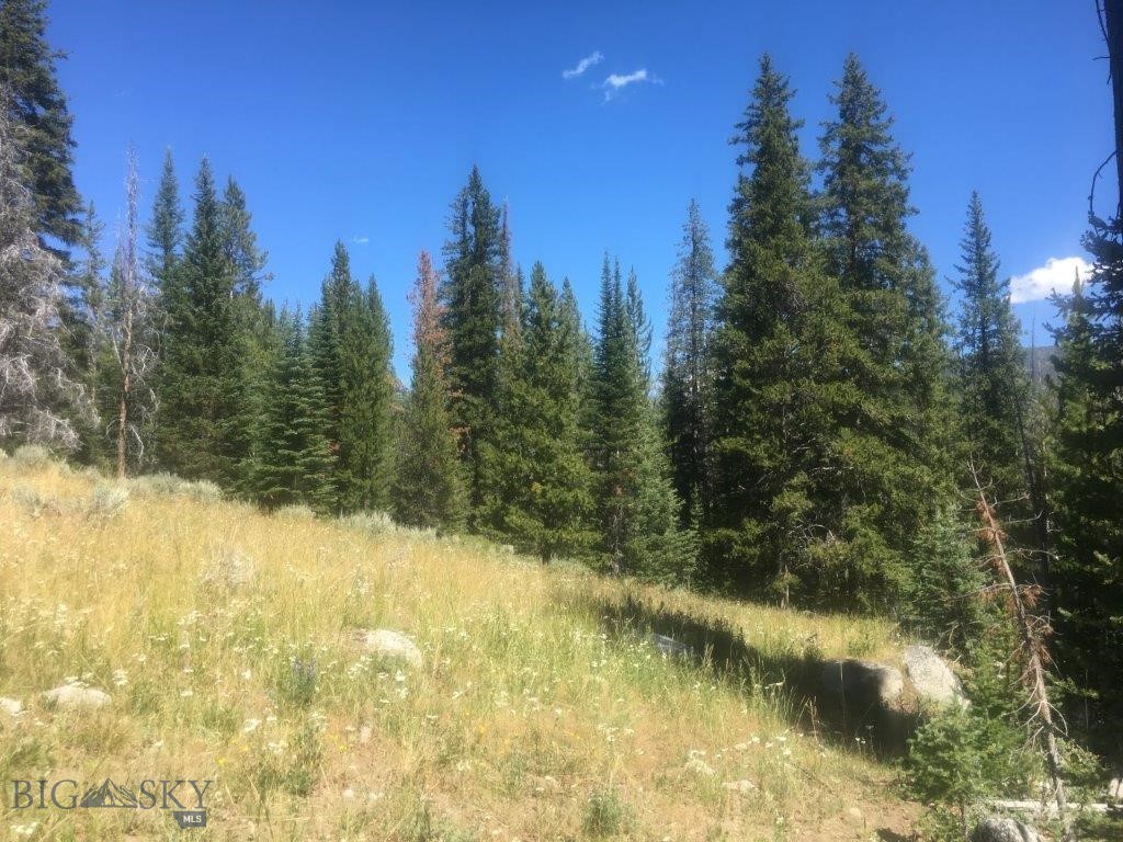 216 Trapper Creek Road, Dillon MT 59725