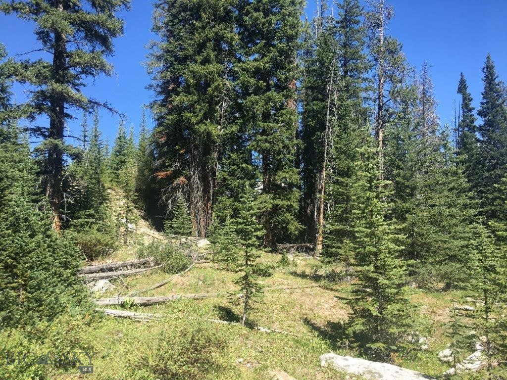 216 Trapper Creek Road, Dillon MT 59725