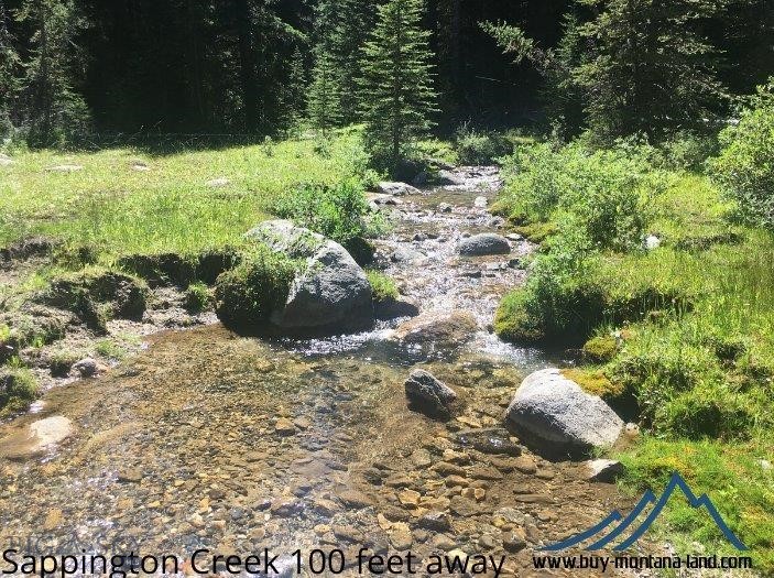 216 Trapper Creek Road, Dillon MT 59725