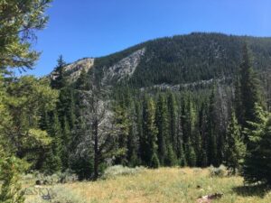 Unknown - 1