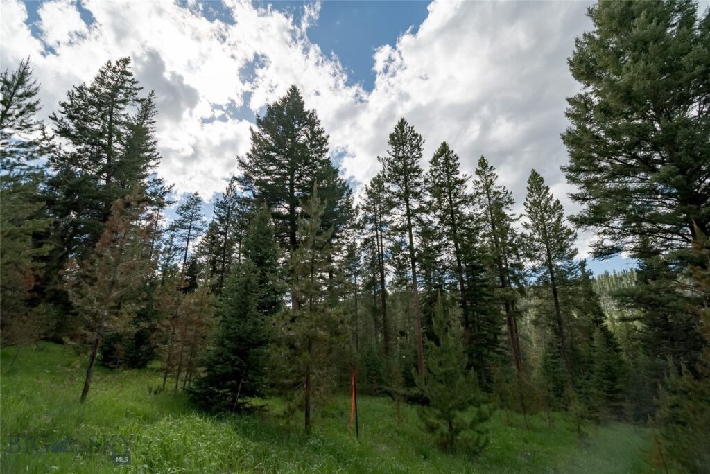 Lot 30 Colters Run Loop, Gallatin Gateway MT 59730