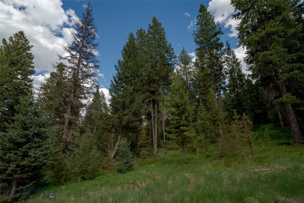 Lot 30 Colters Run Loop, Gallatin Gateway MT 59730