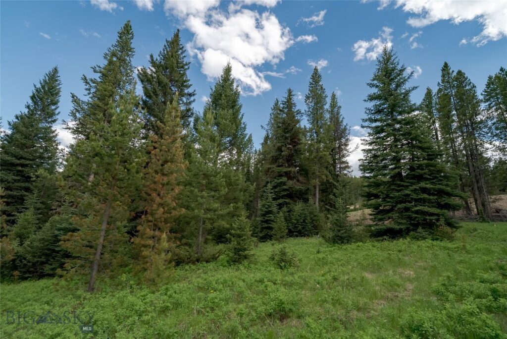 Lot 31 Colters Run Loop, Gallatin Gateway MT 59730