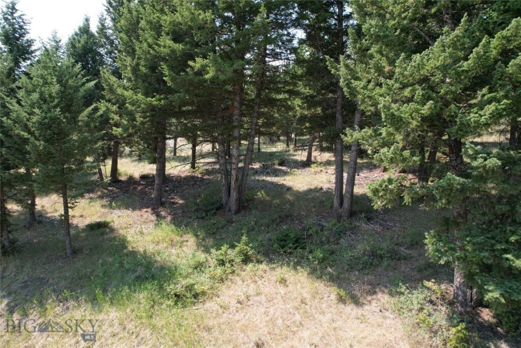 Lot 25 Sun West Ranch, Cameron MT 59729