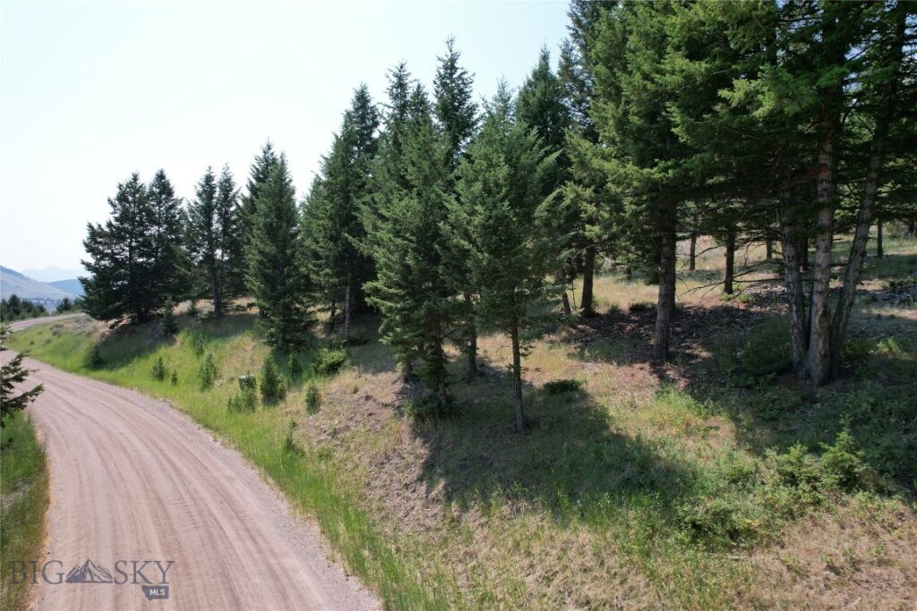 Lot 25 Sun West Ranch, Cameron MT 59729