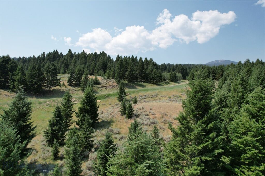 Lot 25 Sun West Ranch, Cameron MT 59729