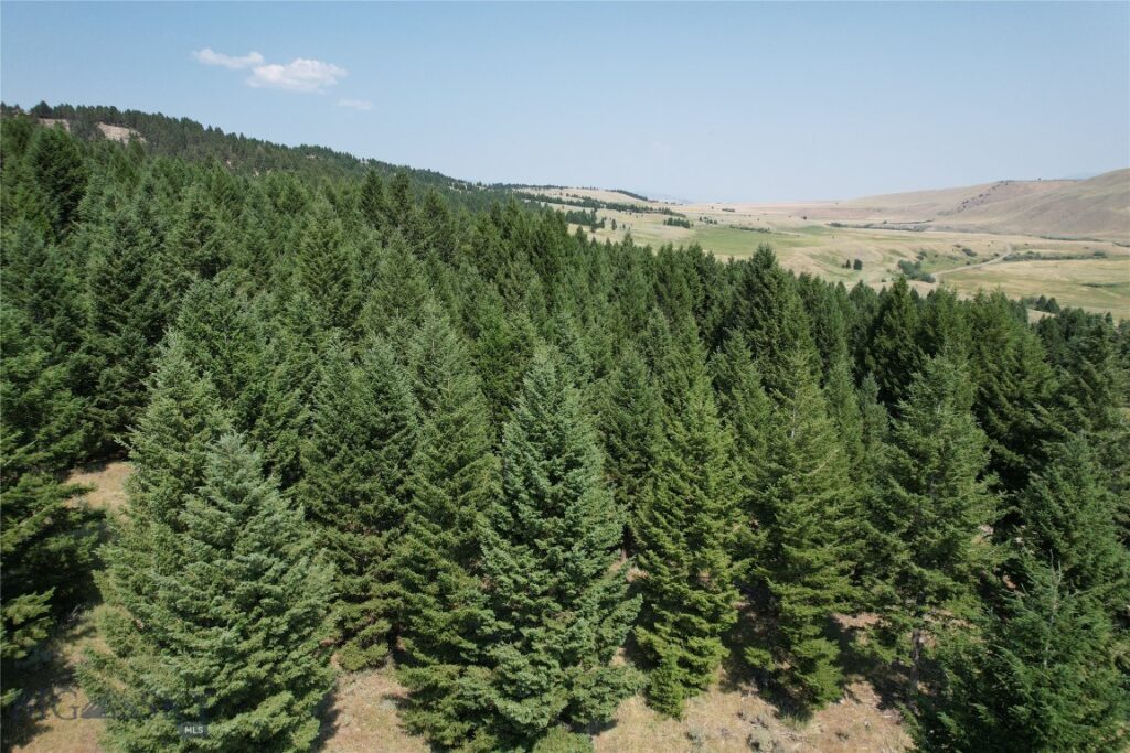 Lot 25 Sun West Ranch, Cameron MT 59729