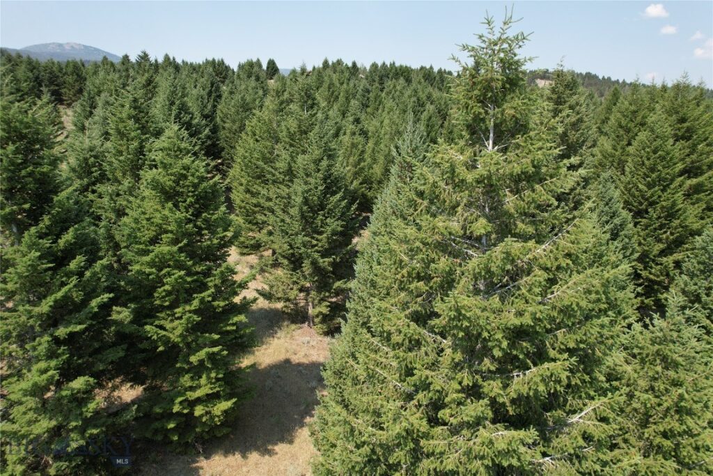 Lot 25 Sun West Ranch, Cameron MT 59729