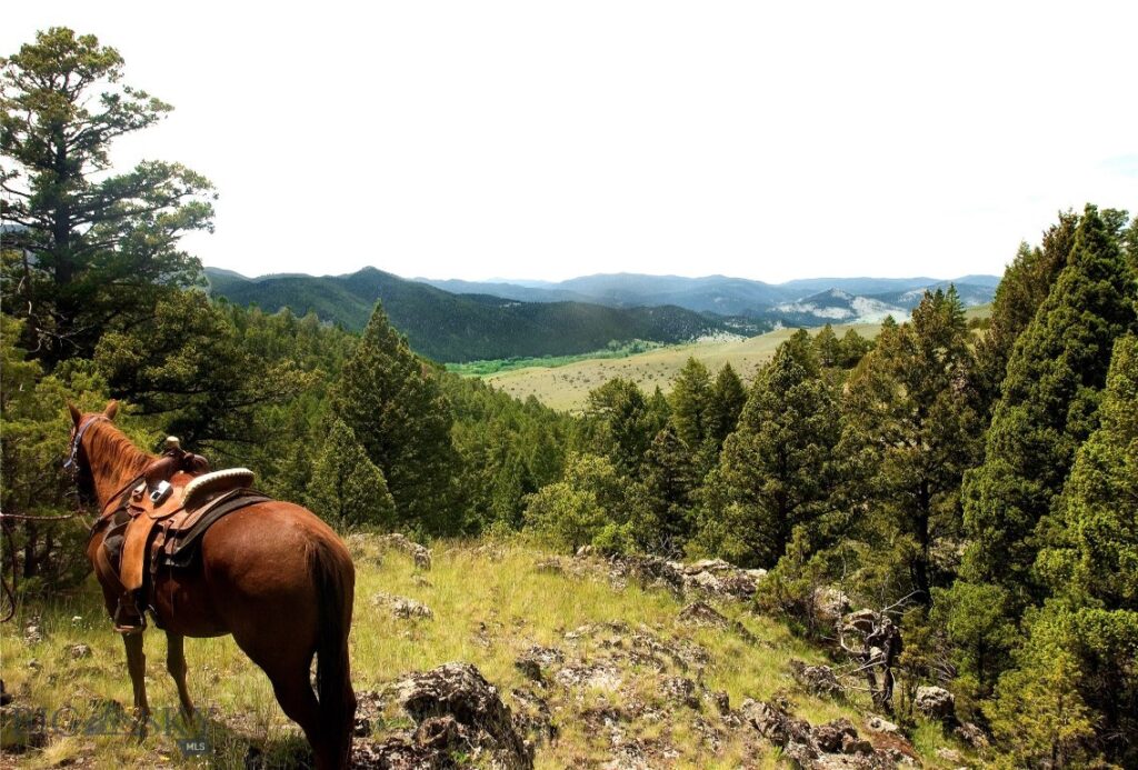 902 Lower Valley Road, Boulder MT 59632