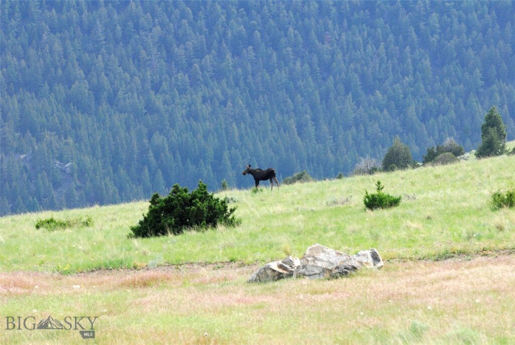 902 Lower Valley Road, Boulder MT 59632