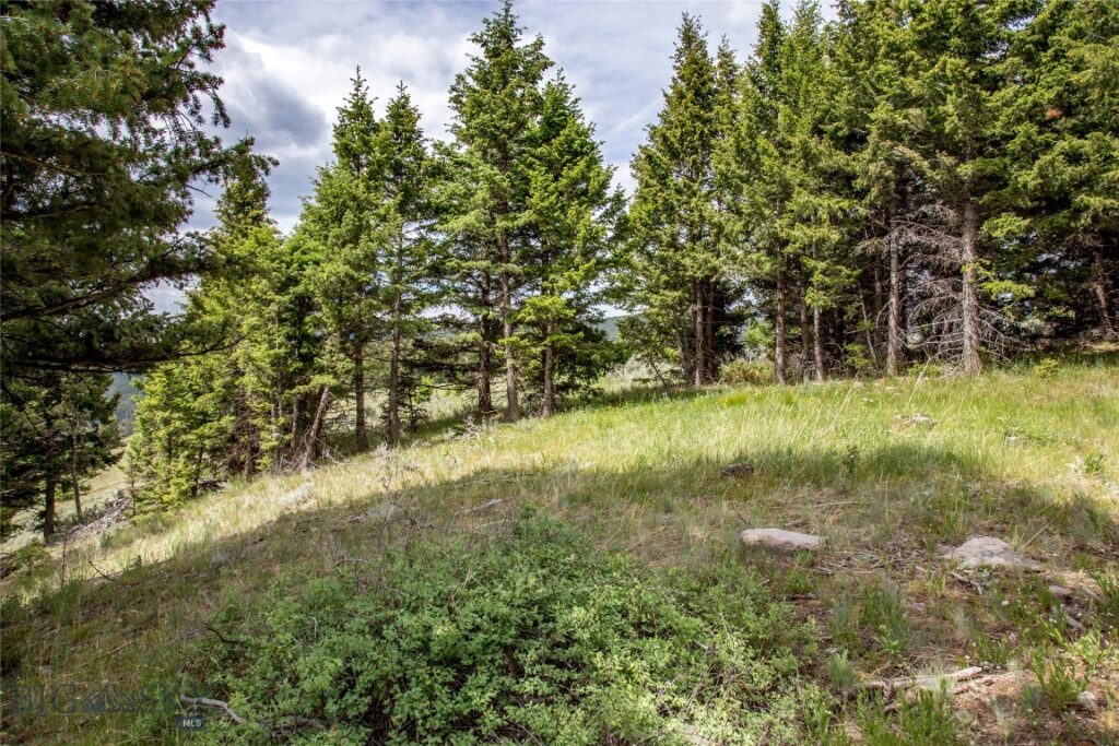 Lot 37 Sun West Ranch, Cameron MT 59720