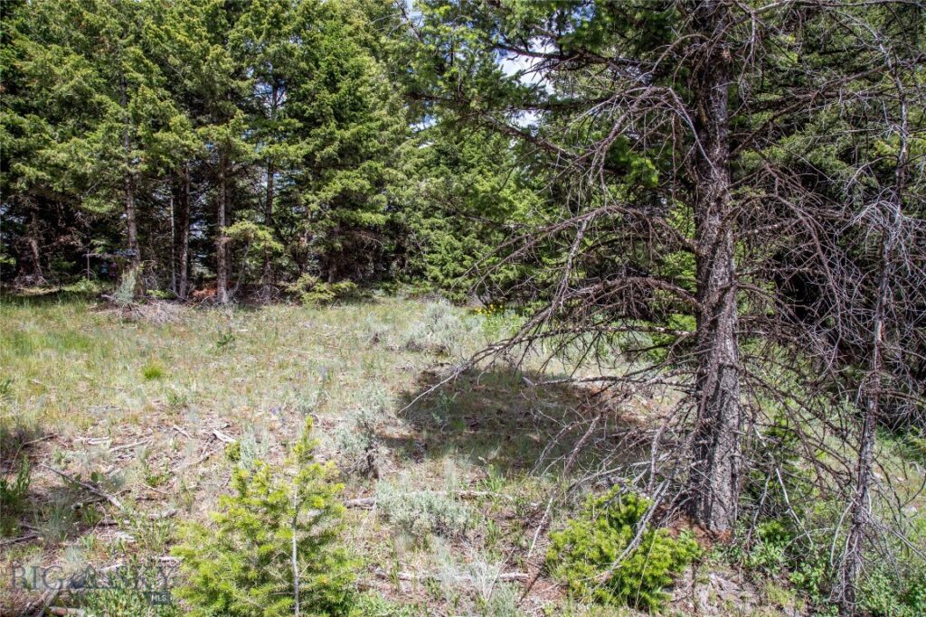 Lot 37 Sun West Ranch, Cameron MT 59720