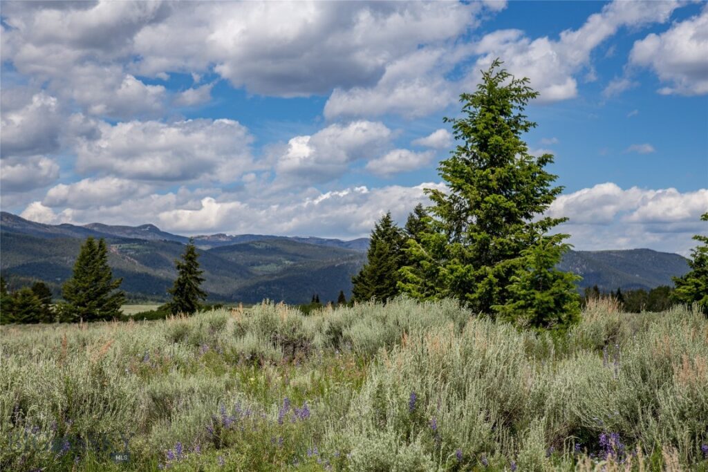 Lot 37 Sun West Ranch, Cameron MT 59720