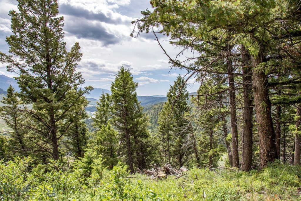 Lot 37 Sun West Ranch, Cameron MT 59720