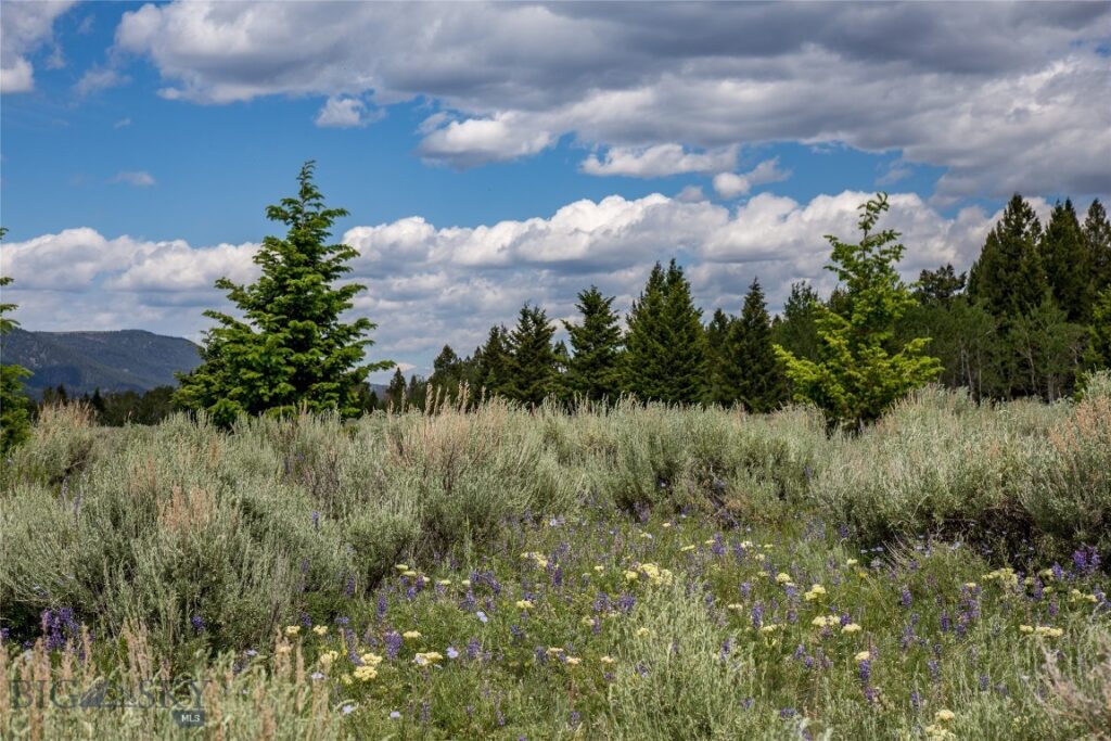 Lot 37 Sun West Ranch, Cameron MT 59720