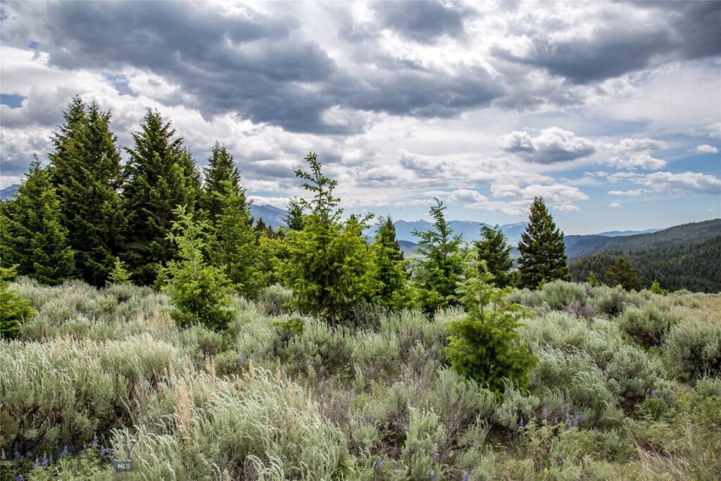 Lot 37 Sun West Ranch, Cameron MT 59720